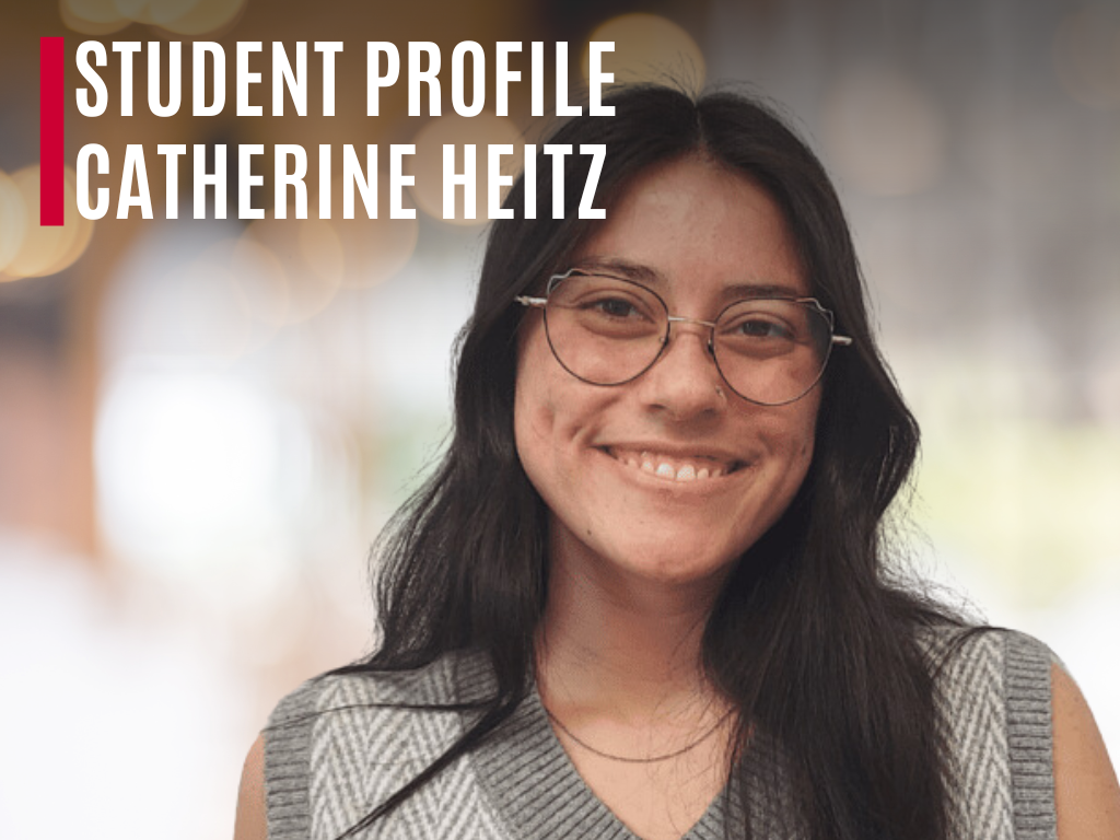 Interdisciplinary Research in Mental Health and Criminal Justice